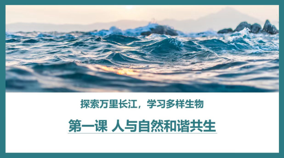 生态保护警钟再次敲响环乐鱼体育保科普可以做些什么？